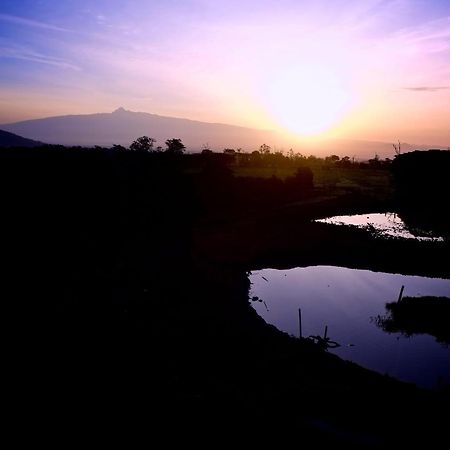 Treetops Mweiga エクステリア 写真