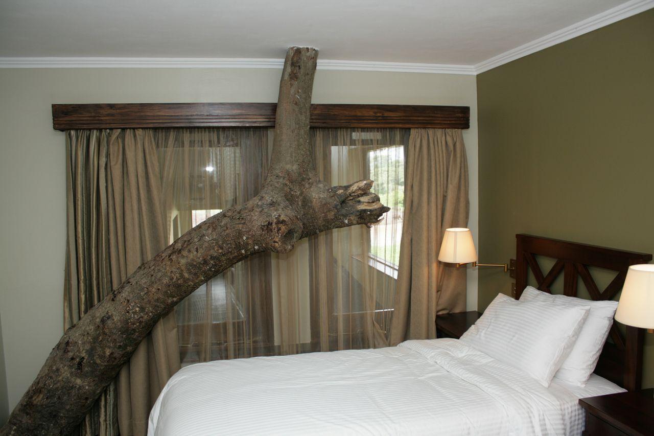 Treetops Mweiga 部屋 写真