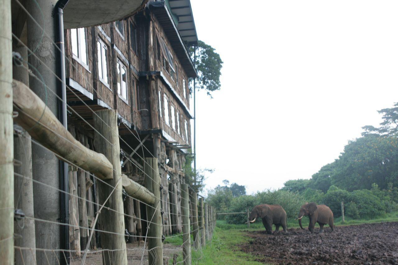 Treetops Mweiga エクステリア 写真