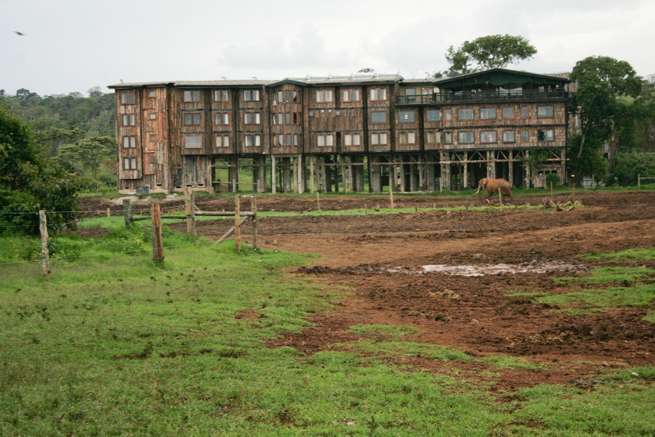 Treetops Mweiga エクステリア 写真