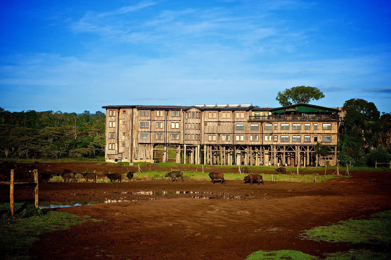 Treetops Mweiga エクステリア 写真