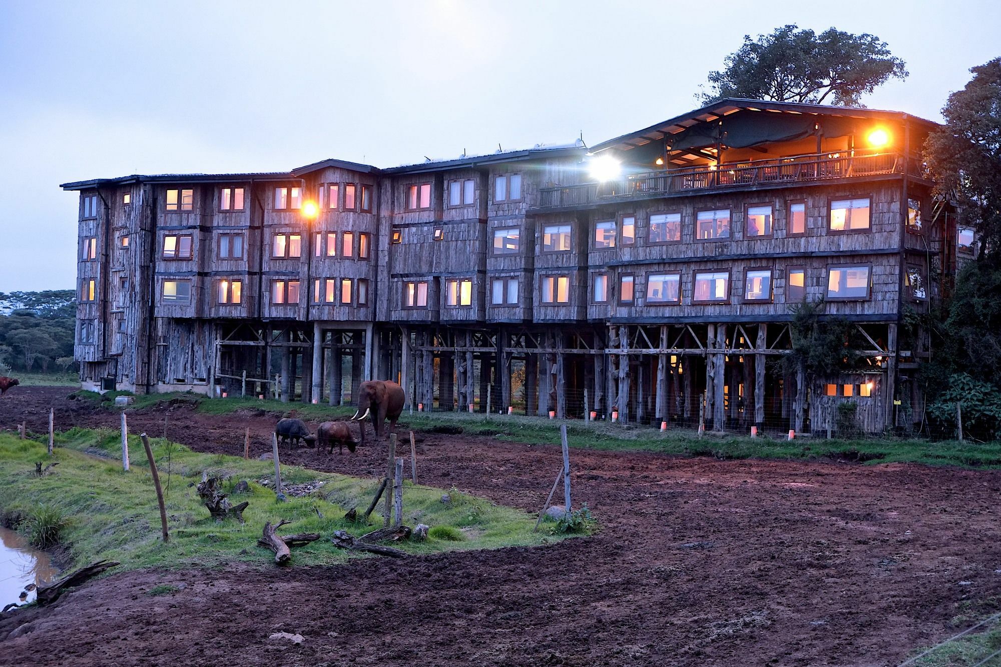 Treetops Mweiga エクステリア 写真