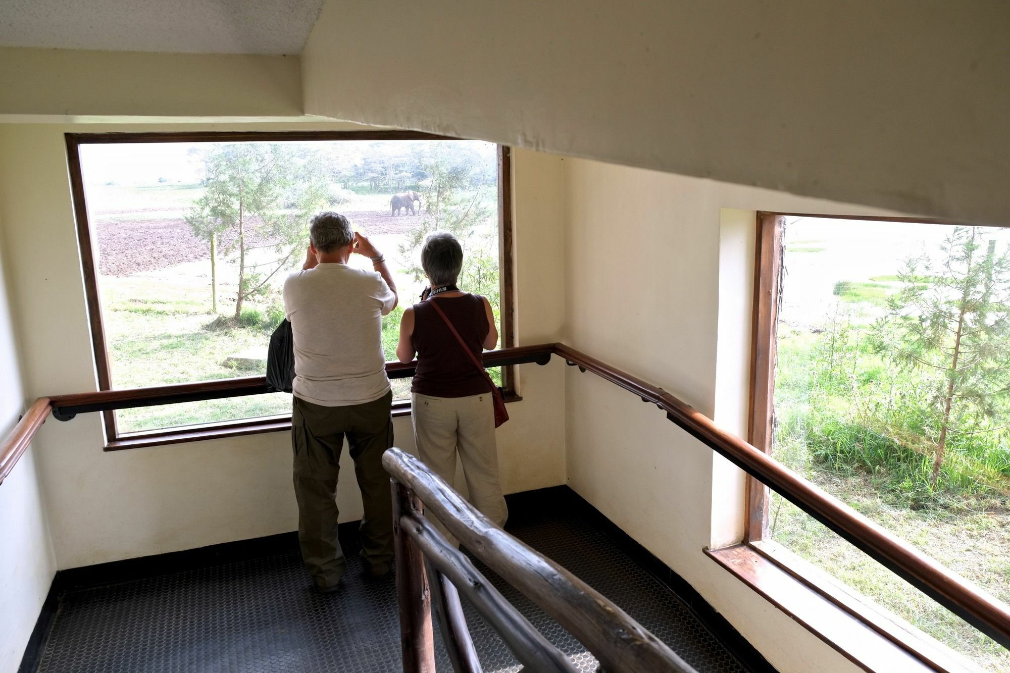 Treetops Mweiga エクステリア 写真
